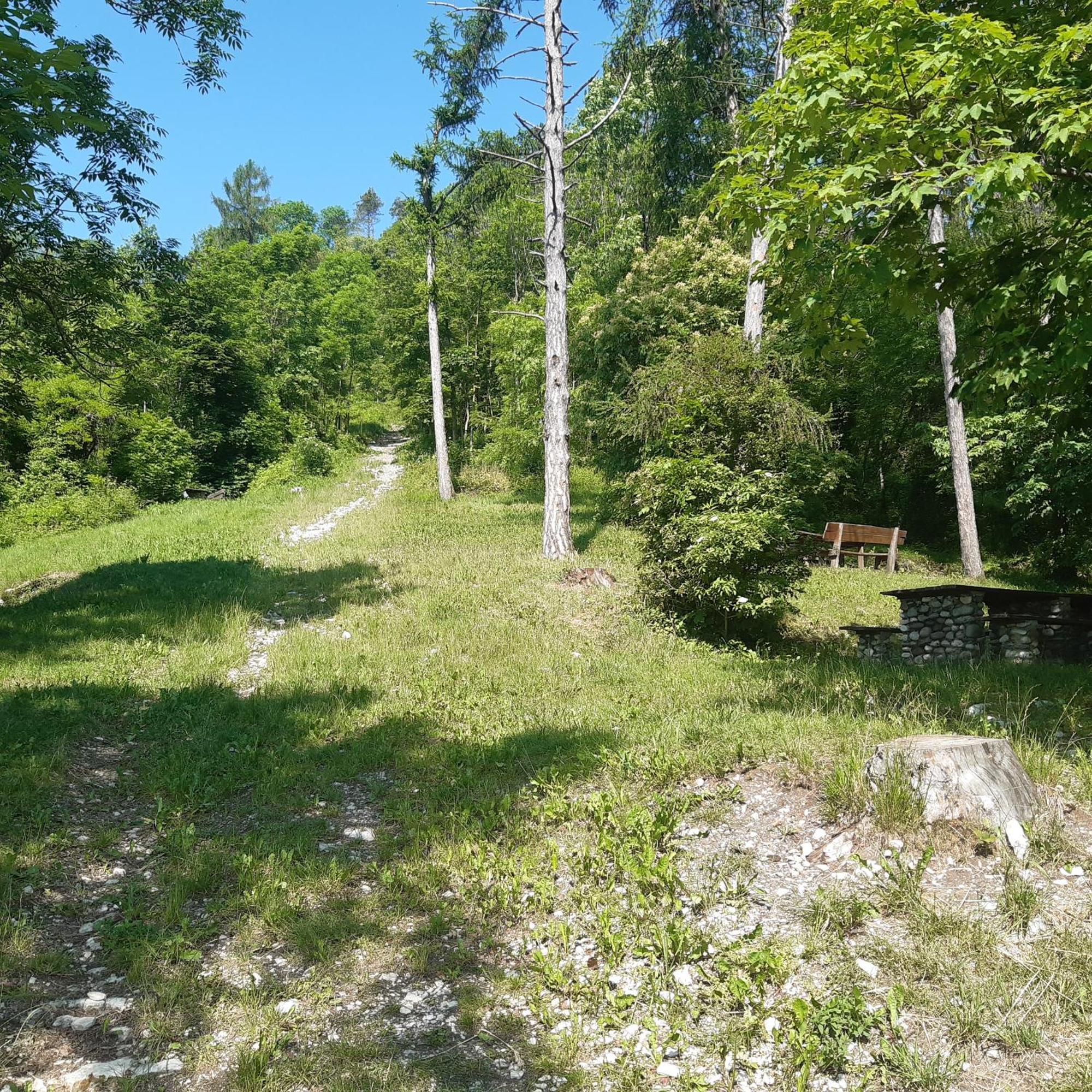 Mansarda Accogliente A Lusiana Appartement Buitenkant foto